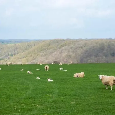 Wethercote Hébergement de vacances *